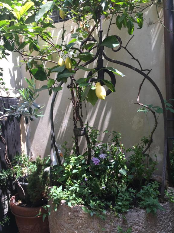 Hotel Gabbia D'Oro - Resim 23