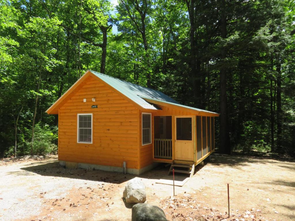 una pequeña cabaña en medio del bosque en Okie Dokie Cabins en Tamworth