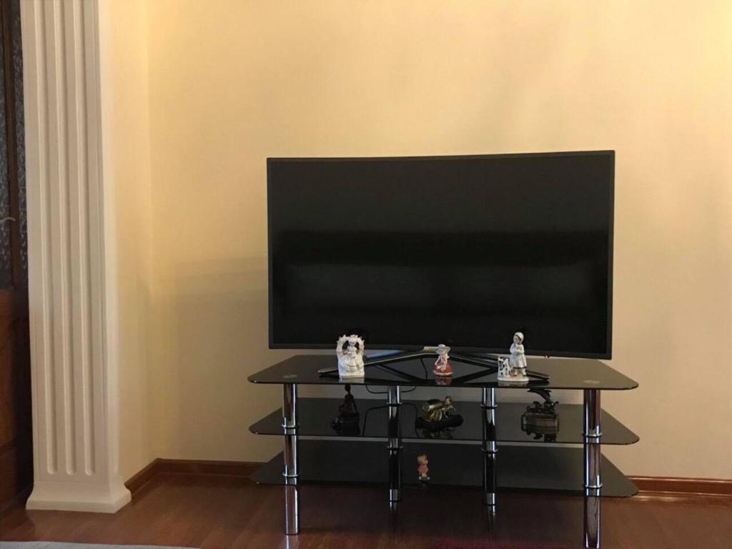 TV a/nebo společenská místnost v ubytování Lela's Guest house