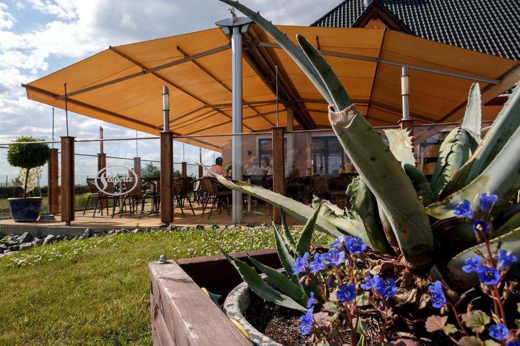 Zahrada ubytování Seepark Auenhain