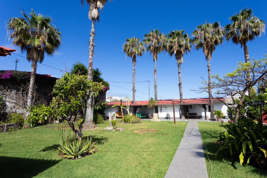 a garden in front of a house with palm trees at Finca La Gaviota - El Granito- Jacuzzi con vistas al Teide in Icod de los Vinos
