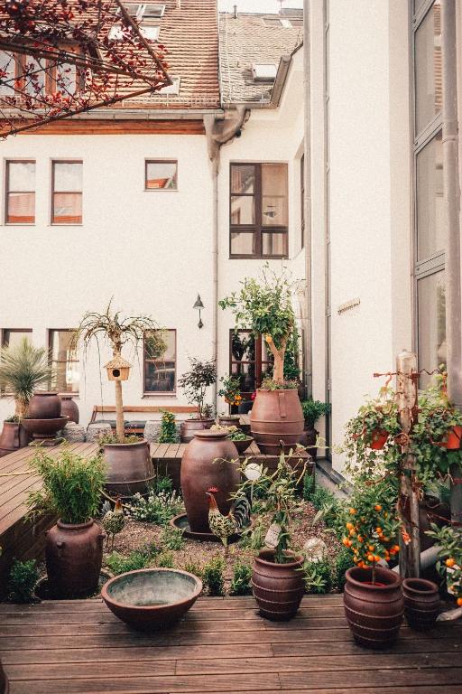 36 Phô Cô Hotel & Suites - 14