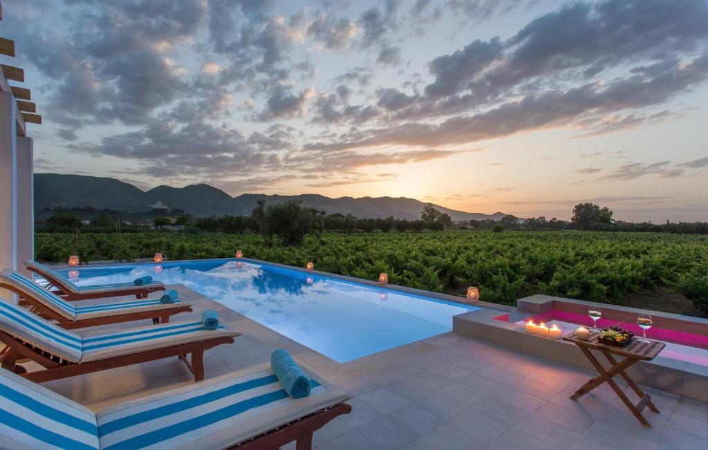 a pool with a view of a vineyard at Aneli Luxury Villas-Villa Elissavet in Áyios Kírikos