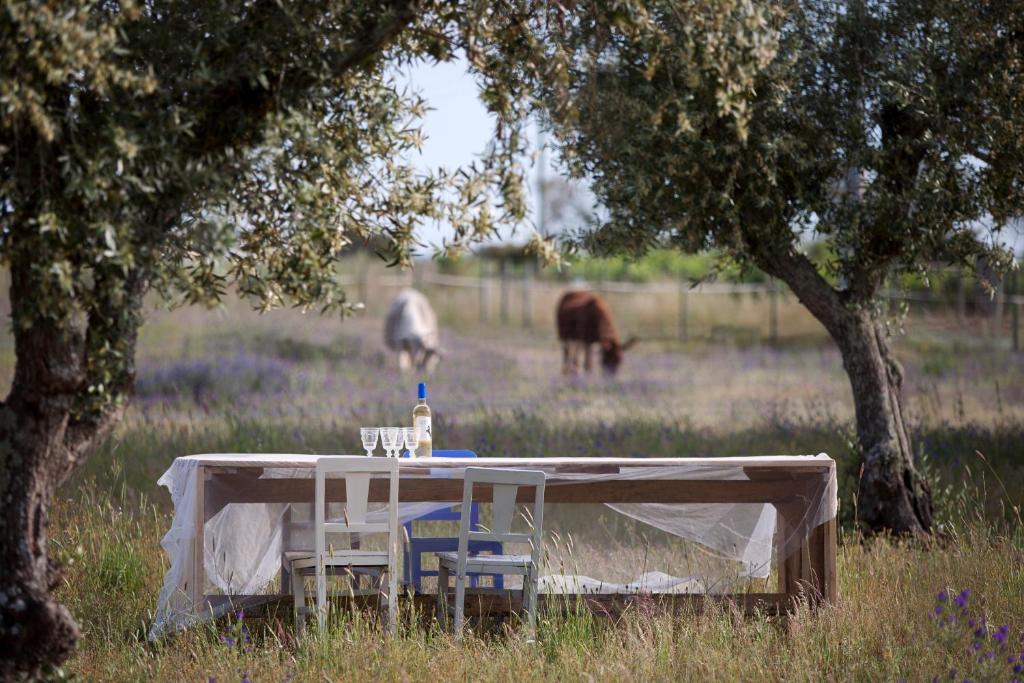 einen Tisch mit zwei Stühlen und ein Pferd auf dem Feld in der Unterkunft Quinta dos doze Sobreiros - Quarto Sol in Ferreira do Alentejo