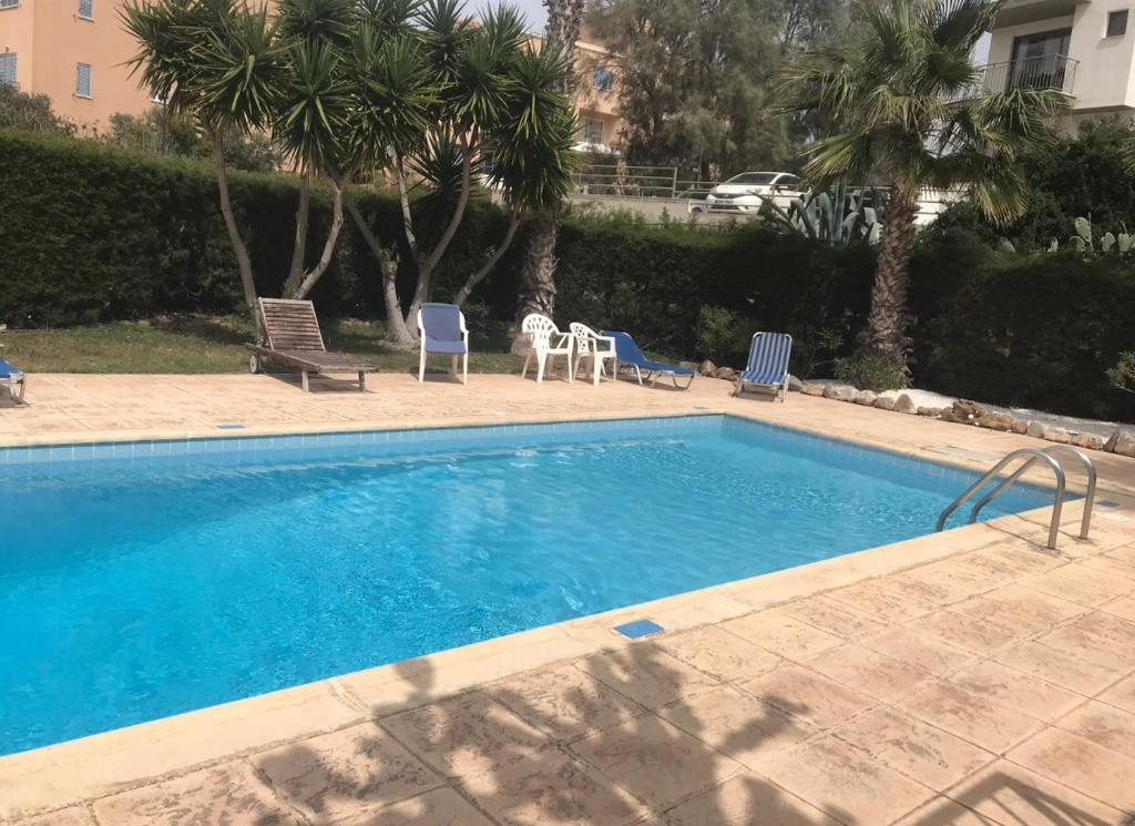 een groot zwembad met blauwe stoelen en bomen bij Modern Apartment in Pafos Near the Sea in Paphos City