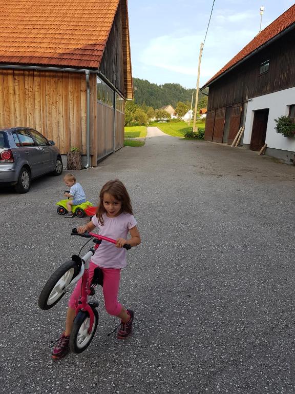 Děti v ubytování Biobauernhof Schöttelbauer