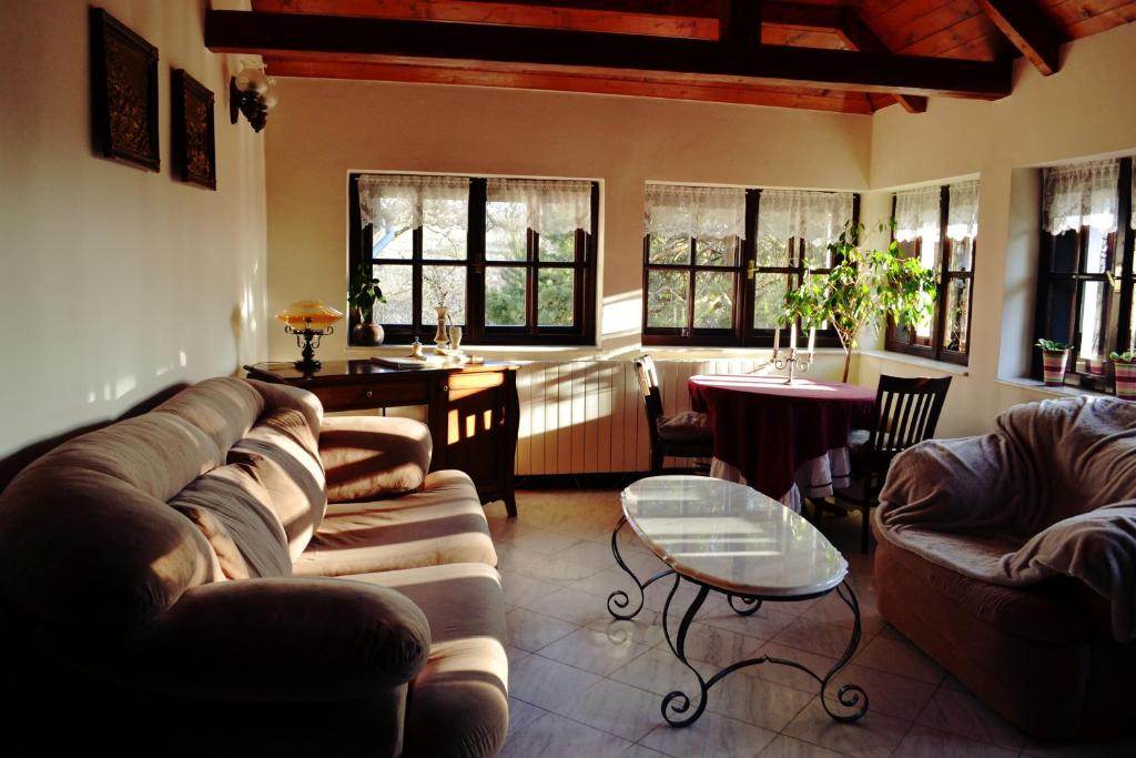 Villa Castelul Maria - Suite