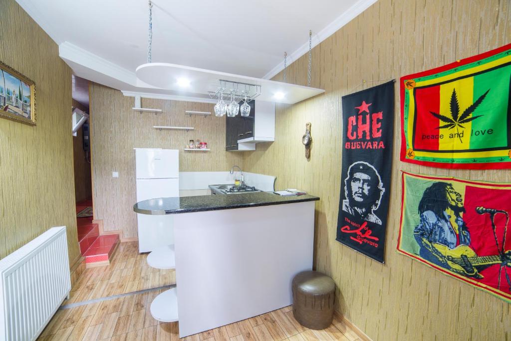 Kuchyň nebo kuchyňský kout v ubytování Anastasia Guesthouse
