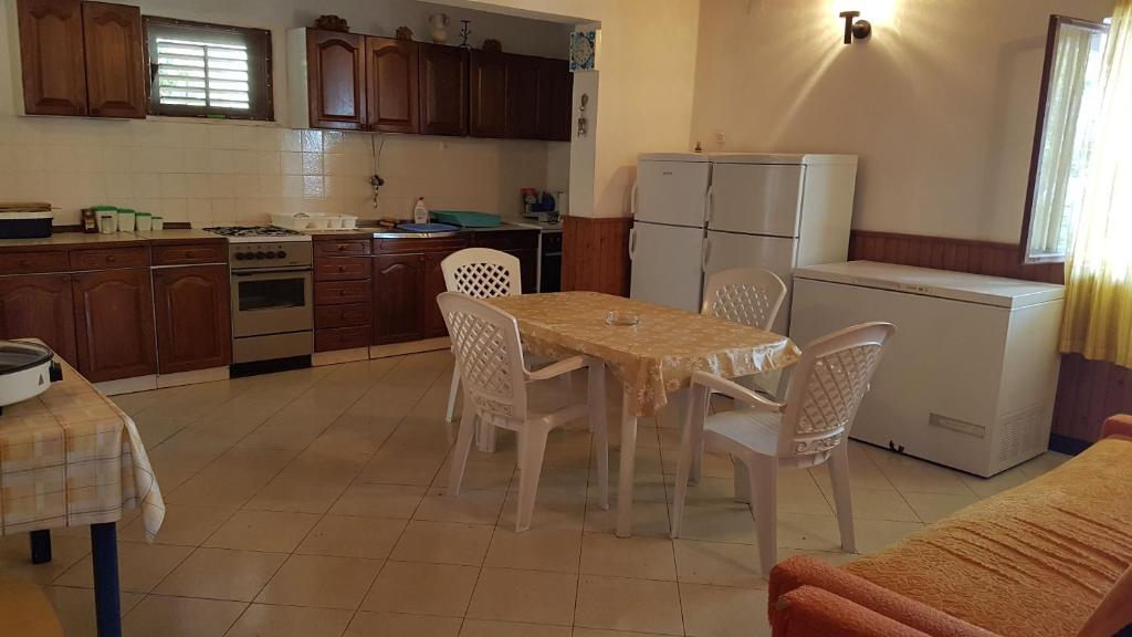 Kuchyňa alebo kuchynka v ubytovaní House Fani