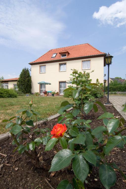 Zahrada ubytování Hotel Heidler