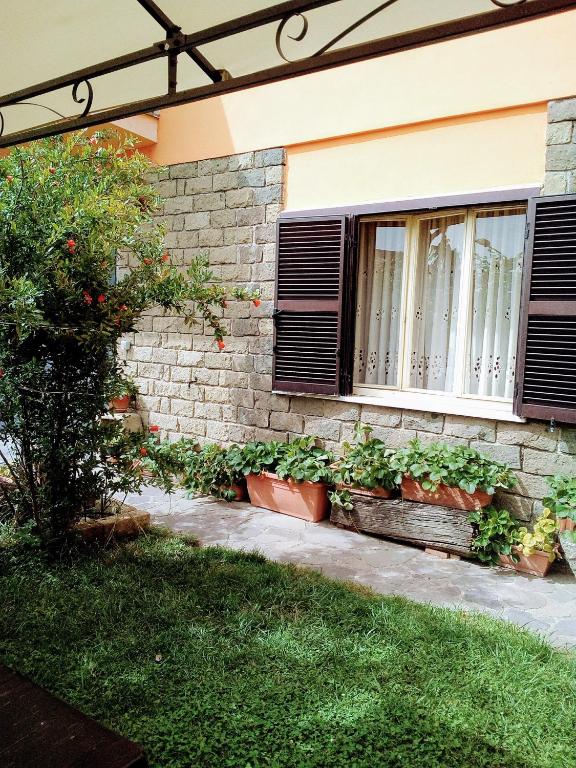 a building with a window and some plants at Casa Mirella in Bolsena