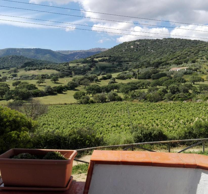 Agriturismo B&B Domo De Resteblas - Double Room