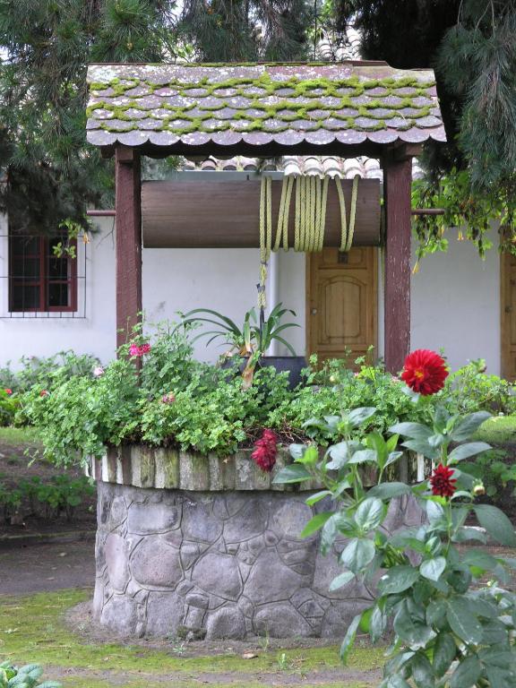 Zahrada ubytování Hacienda La Cienega
