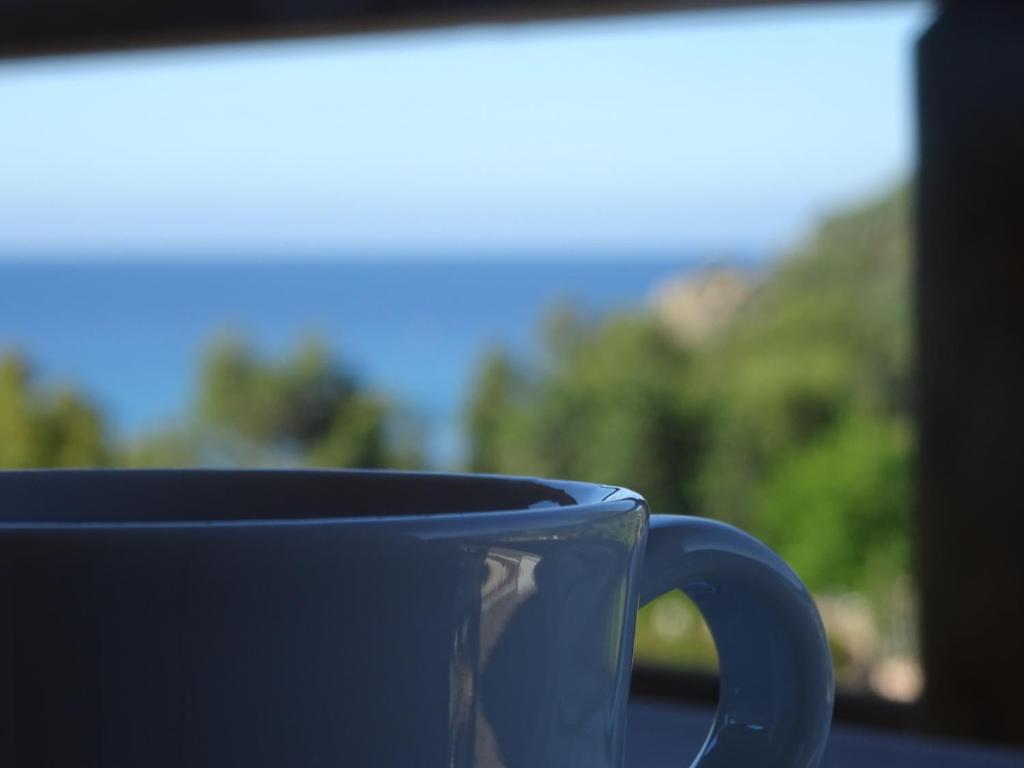 een blauw koffiekopje op een vensterbank bij Casa Daniela in Torre delle Stelle