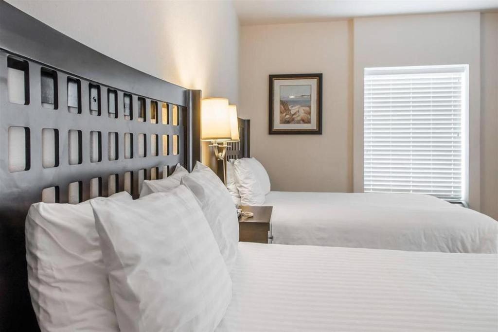 Sunchase Inn & Suites - Chambre Queen Avec Deux Lits Queen