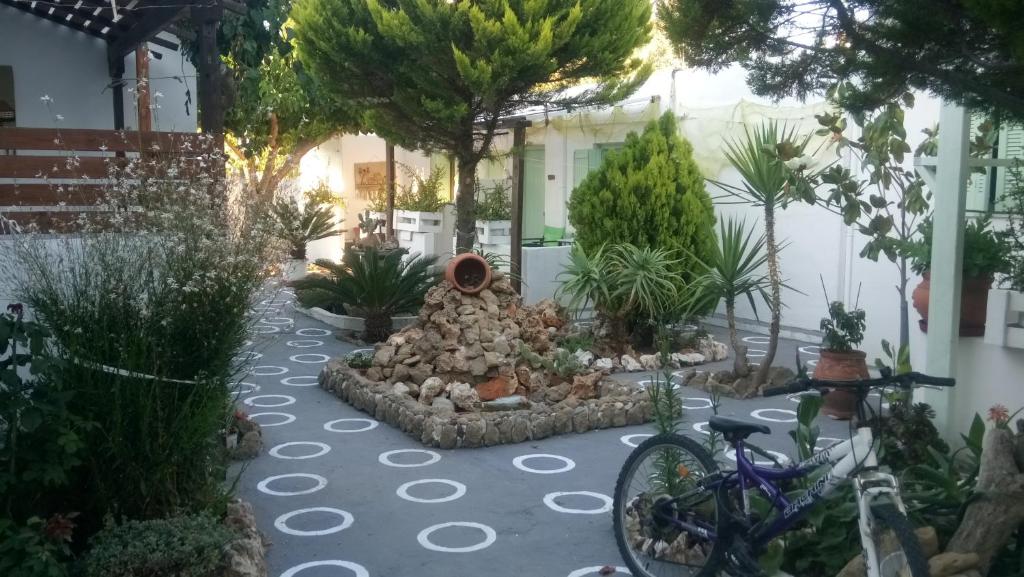 Zahrada ubytování Skyros Koxilas Studios