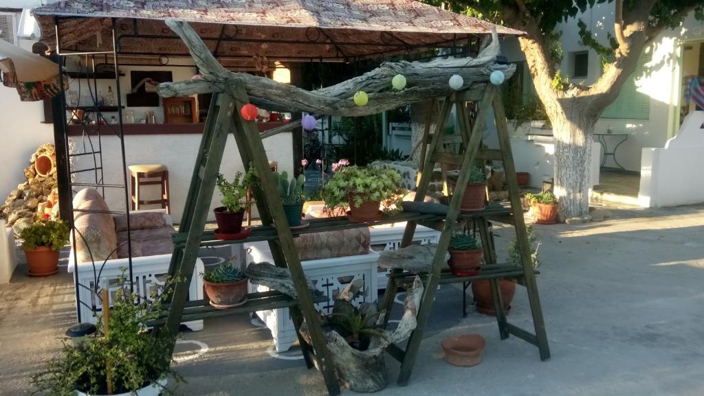 Zahrada ubytování Skyros Koxilas Studios