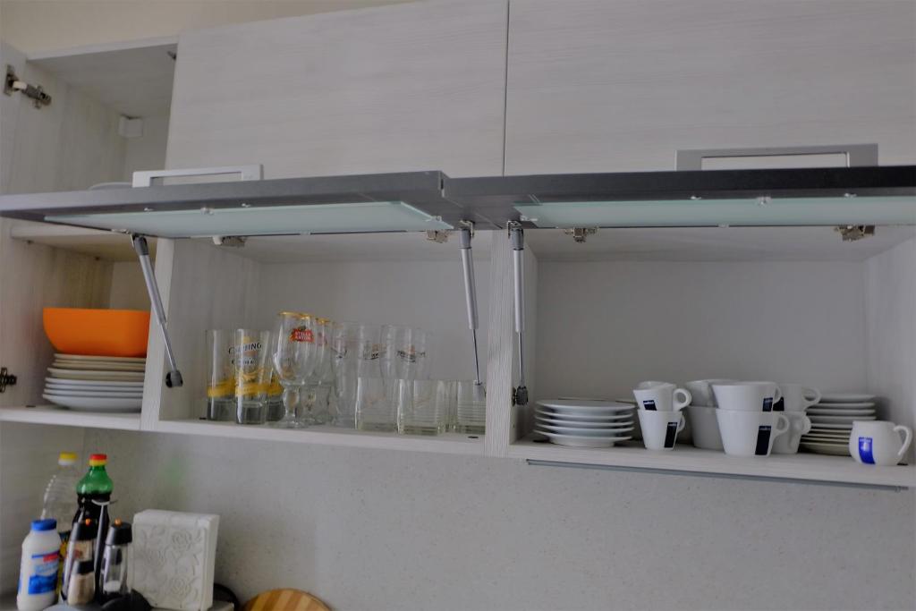 Kuchyň nebo kuchyňský kout v ubytování Best Choice Apartment