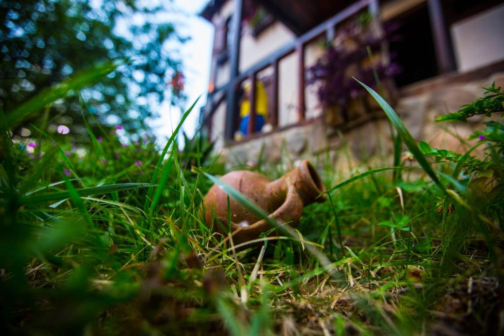 Zahrada ubytování Şamlıoğlu Historical Villa
