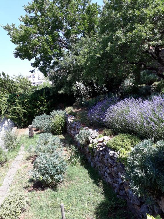 Apartments Valiza III Large apartment - 3 bedrooms and parking space i Apartments Valiza IV - 18