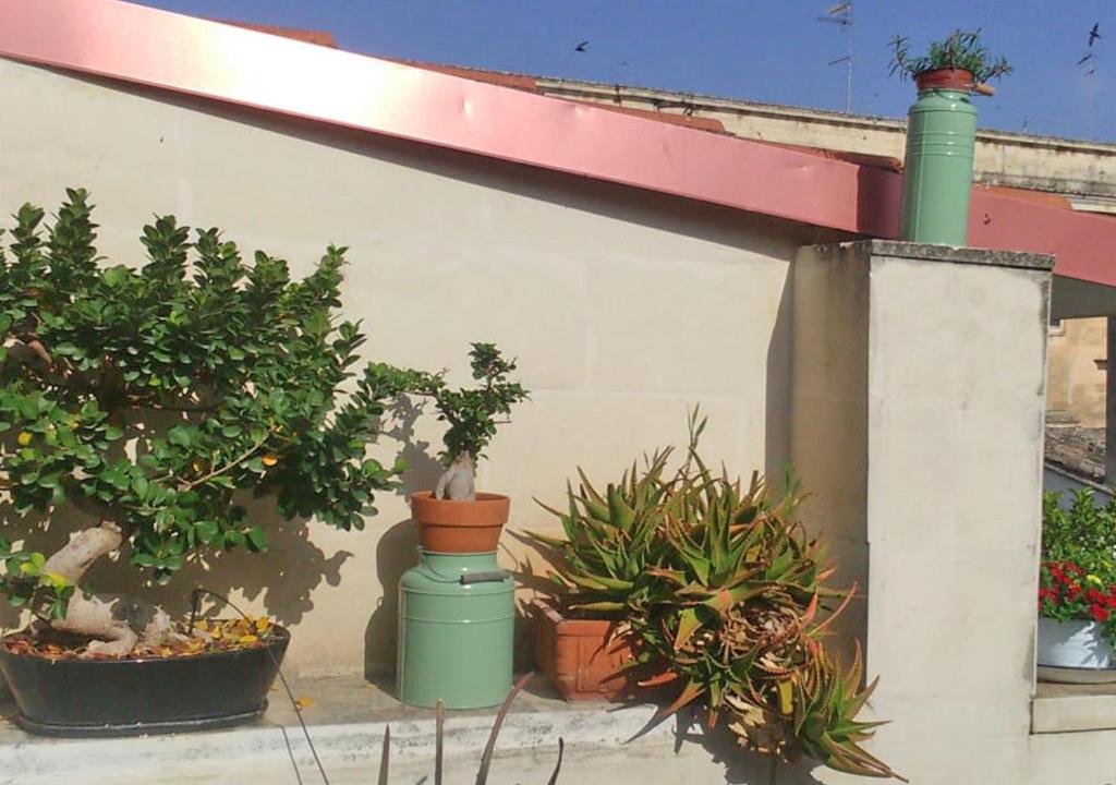 B&B Corte dell' Idume photo