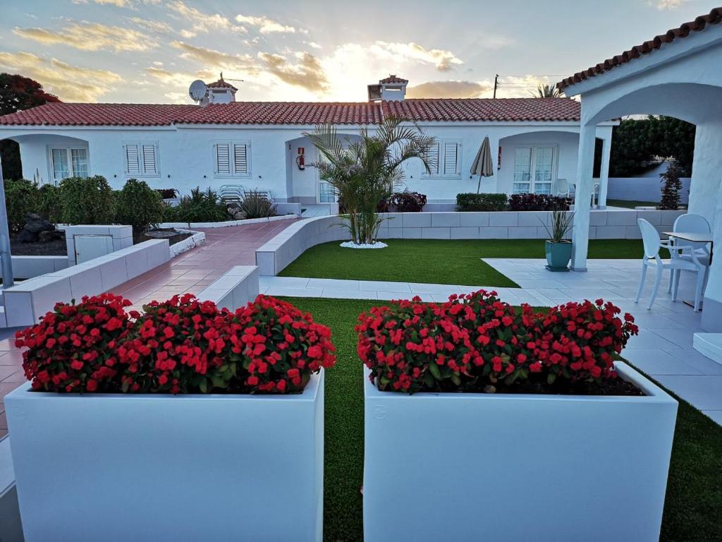 A garden outside Bungalows Adonis