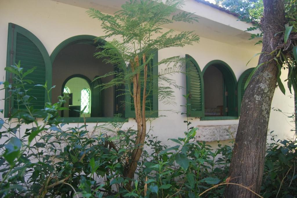 a house with green shutters and a palm tree at Radicais Natureza in Monte Alegre do Sul
