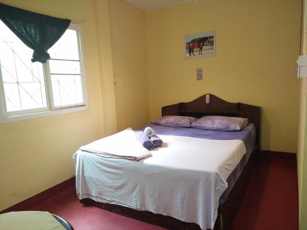 Jimmy and Jeng Homestay - 10