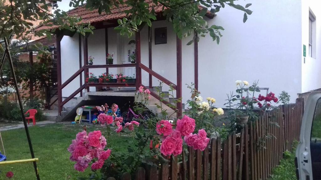 Jardí fora de Apartment Dil