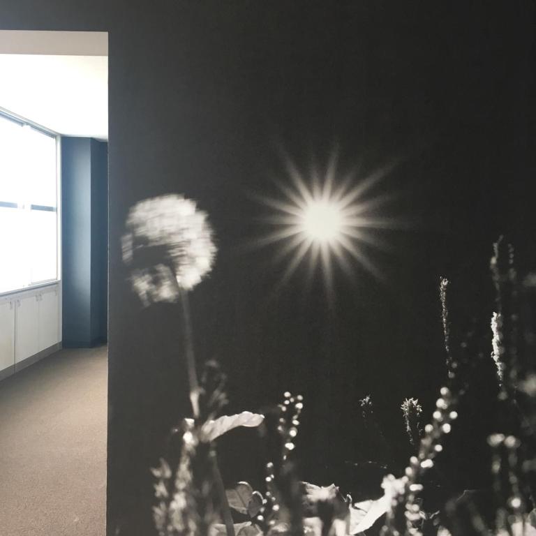 Fotografie z fotogalerie ubytování EN hostel v destinaci Koči