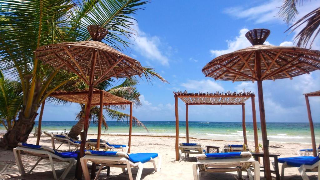 a group of chairs and umbrellas on a beach at Almaplena Boutique Hotel in Mahahual