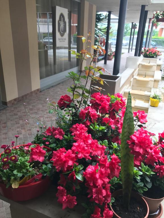 Zahrada ubytování Hotel Villa Cinzia