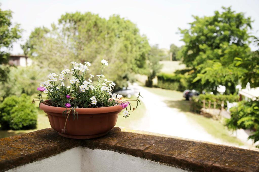 Zahrada ubytování Agriturismo la Gioia