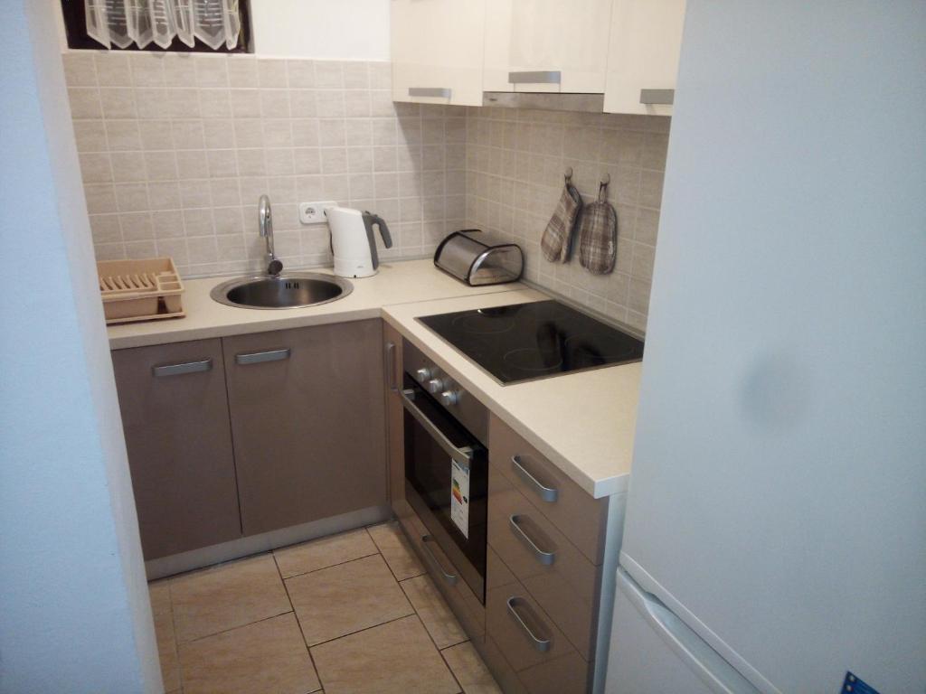 Kuchyň nebo kuchyňský kout v ubytování Apartman Pajo