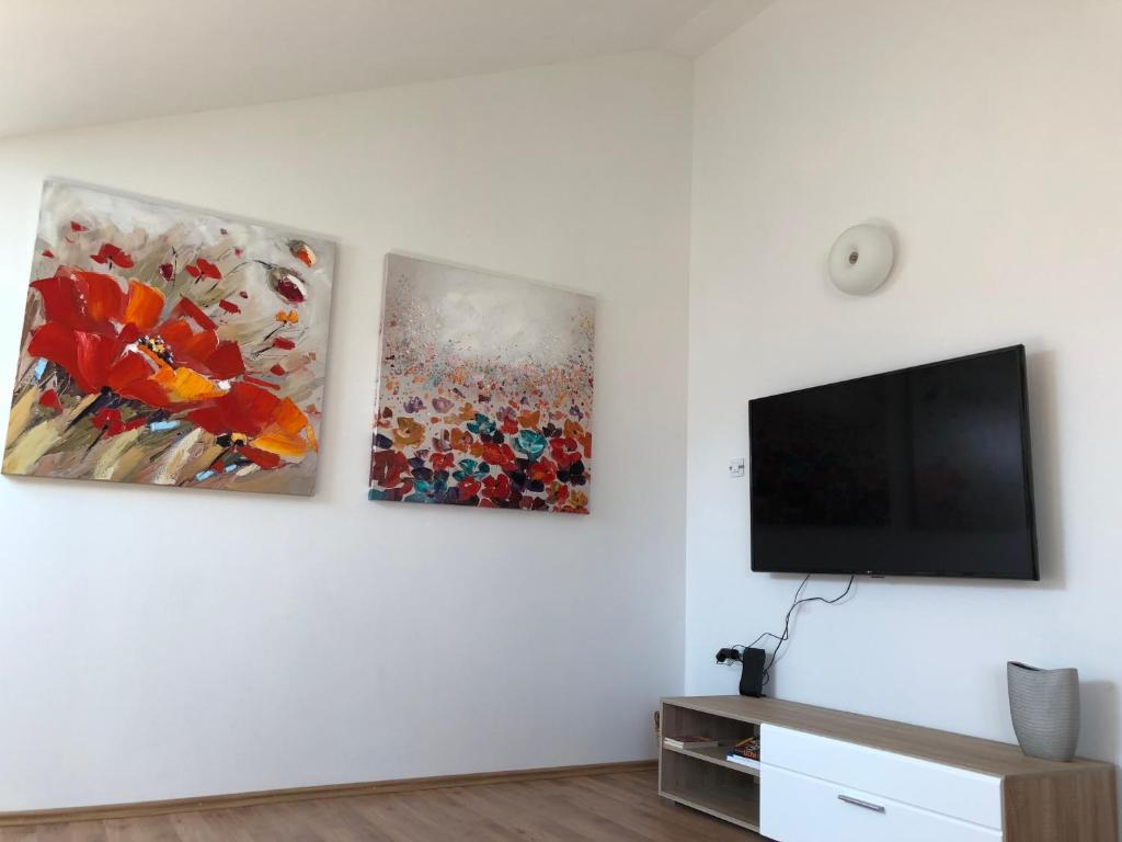 TV a/nebo společenská místnost v ubytování Hana Apartment