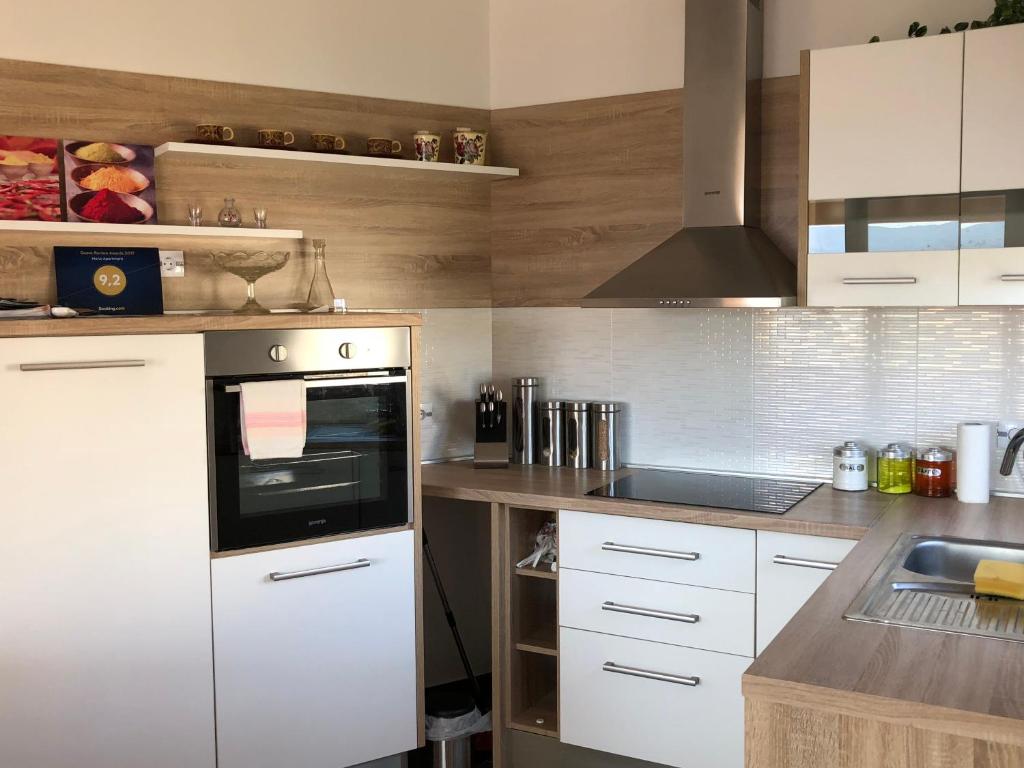 Kuchyň nebo kuchyňský kout v ubytování Hana Apartment