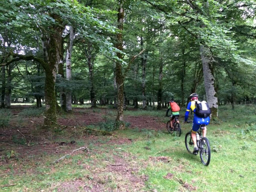 Hosté ubytování Camping La Ribera Salada