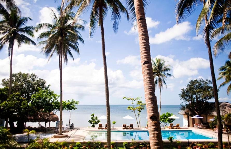 Bazén v ubytování Vitton Resort nebo v jeho okolí