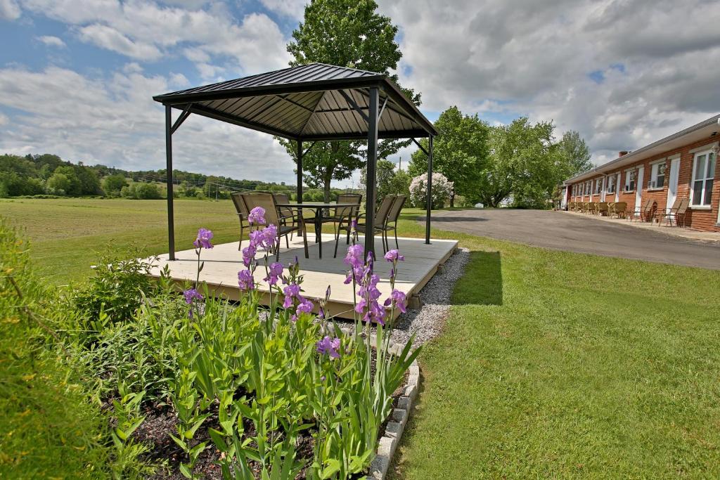 Zahrada ubytování Motel Exquise