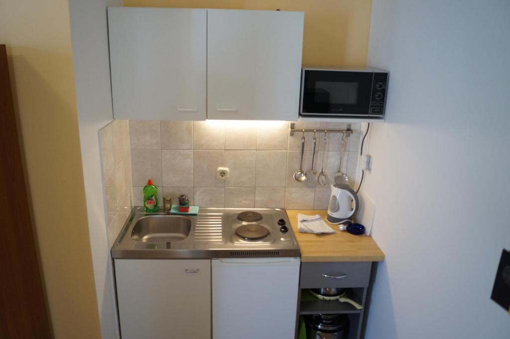 Kuchyň nebo kuchyňský kout v ubytování Studio Apartments Marija with private parking