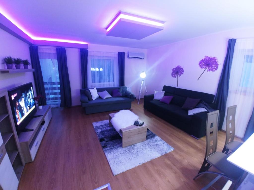 TV a/nebo společenská místnost v ubytování Sarok Apartmanház