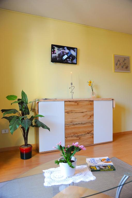 TV a/nebo společenská místnost v ubytování Haus Mairösl