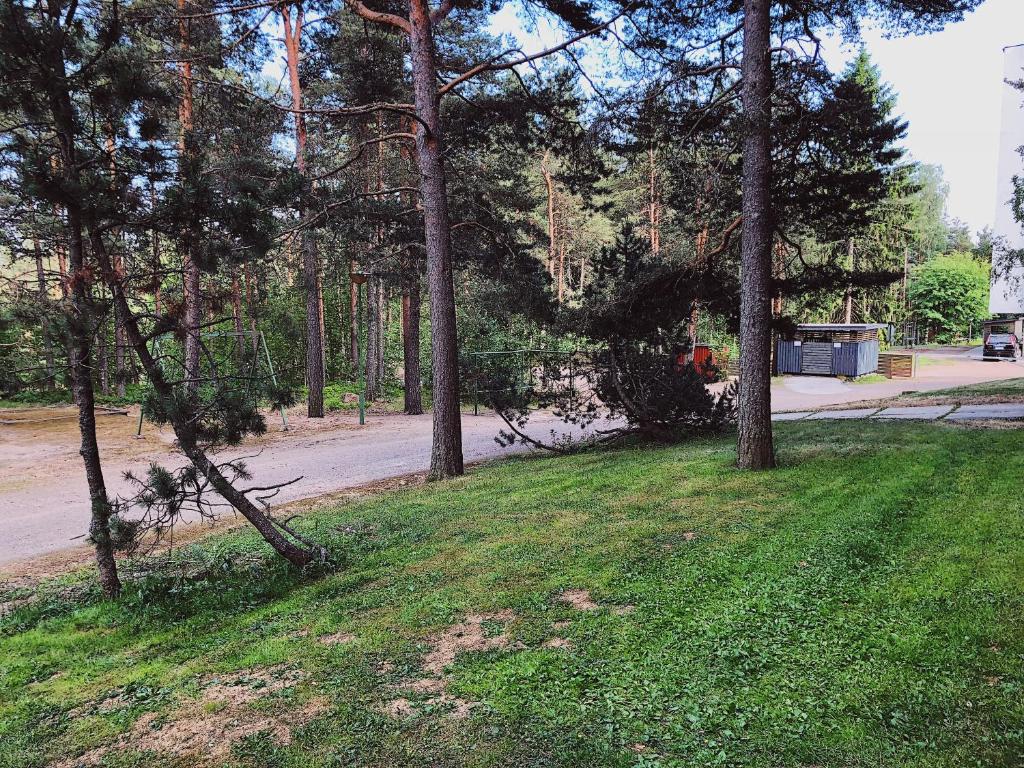 Příroda nedaleko apartmánu