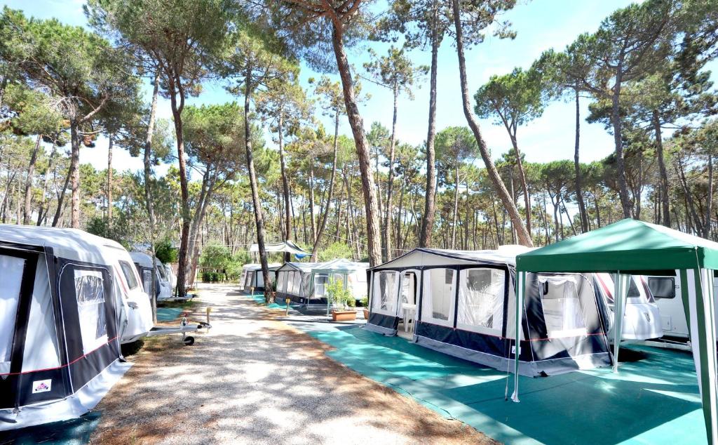 Campeggio Baia Verde, Castiglione della Pescaia, Italy - Booking.com