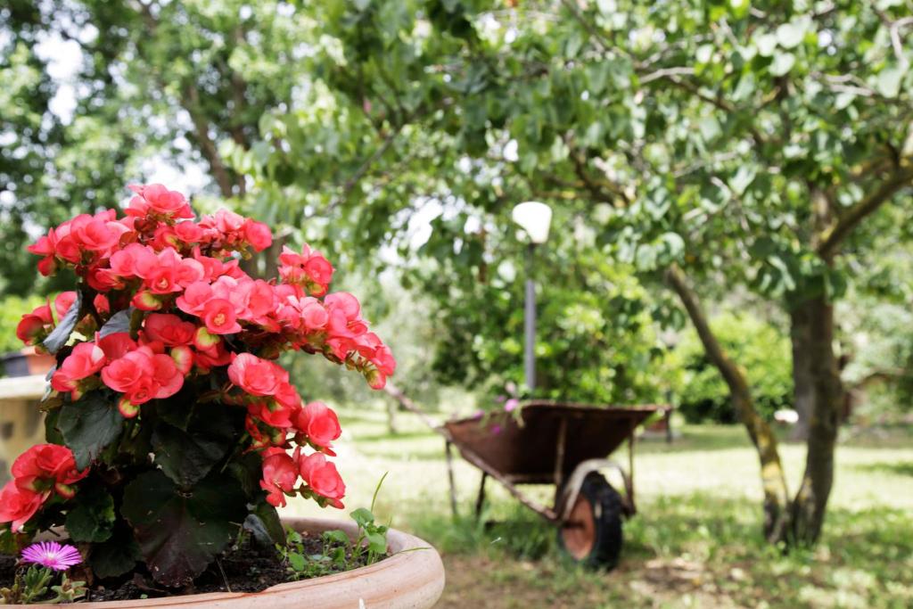 Zahrada ubytování Agriturismo la Gioia