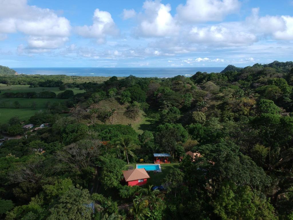 una vista aérea de una casa en medio de un bosque en El nido rojo, en Sámara