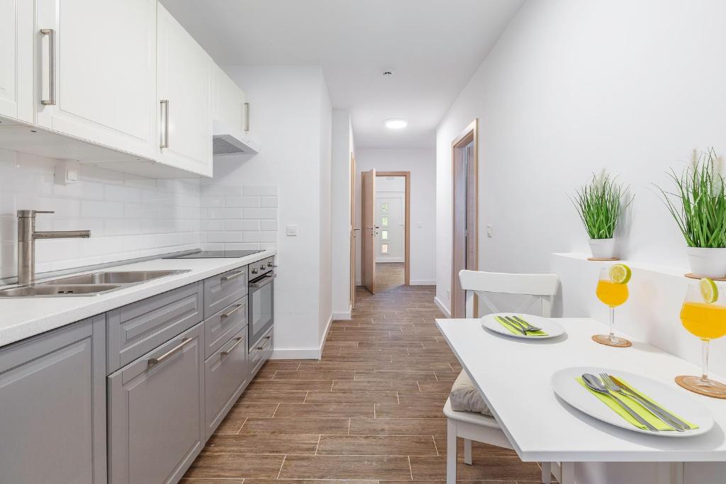 Kuchyňa alebo kuchynka v ubytovaní Villa Polion Valbandon