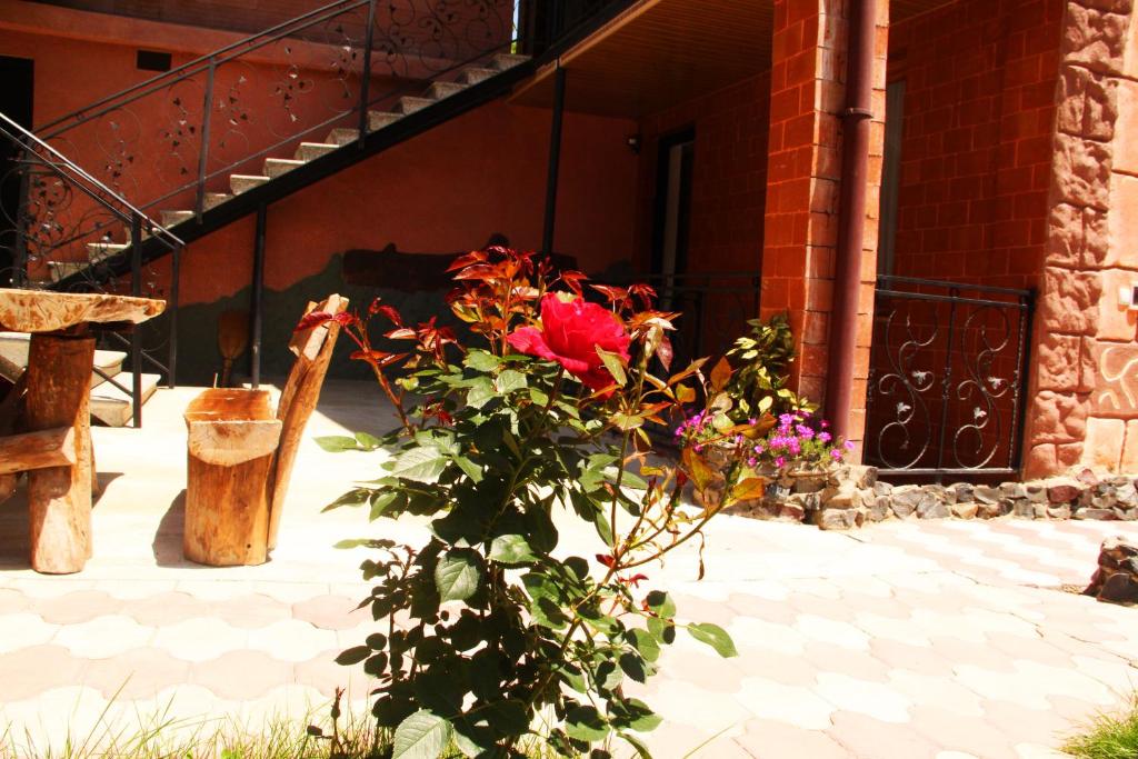 Jardí fora de Guest House VIP