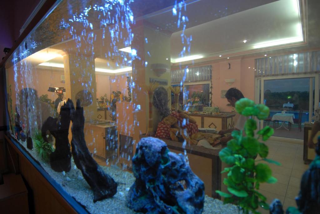 Hosté ubytování Alanya Risus Park Hotel