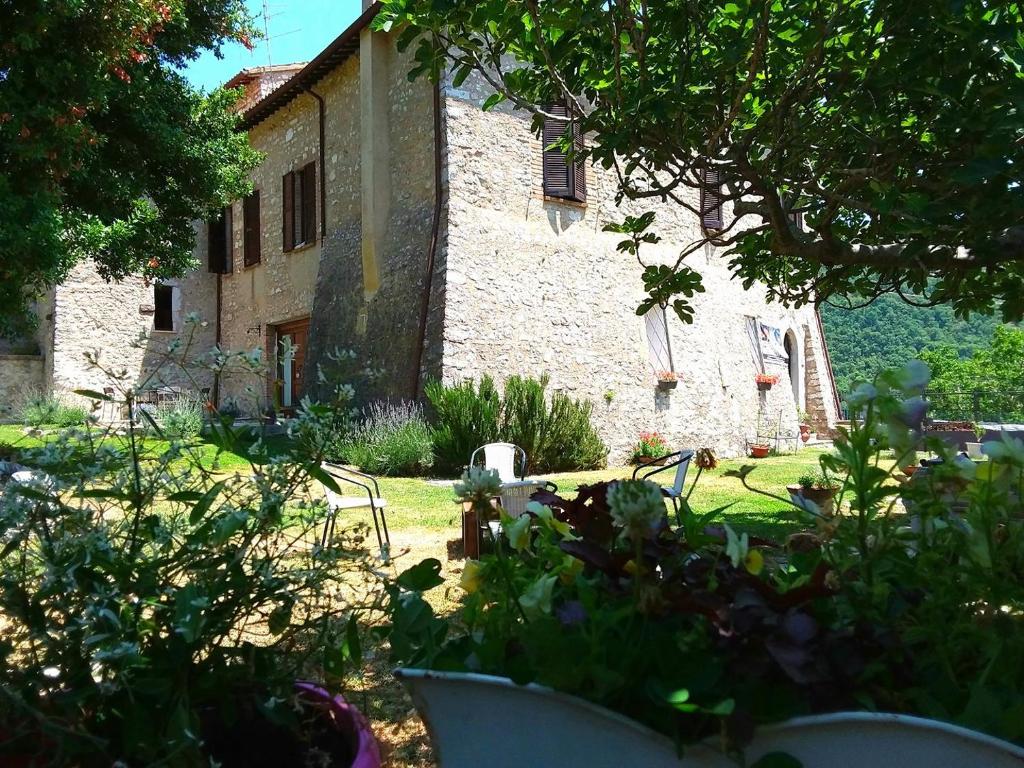 Zahrada ubytování Agriturismo campagna in compagnia